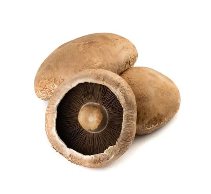 Mushroom Portabella (Netherlands)🇳🇱